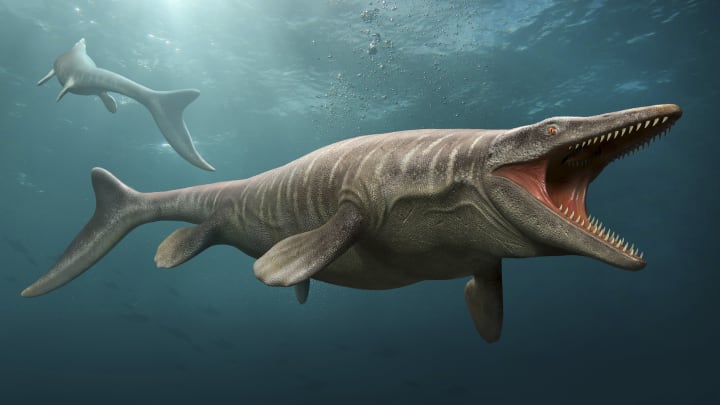 Mosasaur swimming with mouth open.