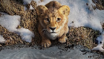 MUFASA: THE LION KING - © 2024 Disney Enterprises, Inc. All Rights Reserved.