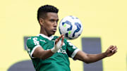 Estêvão é a grande esperança de gols do Palmeiras na Libertadores