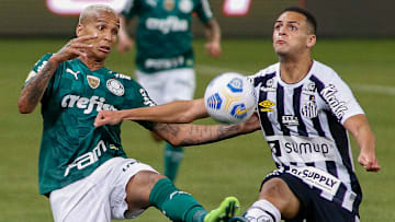 Palmeiras e Santos precisam de pontos nos próximos compromissos