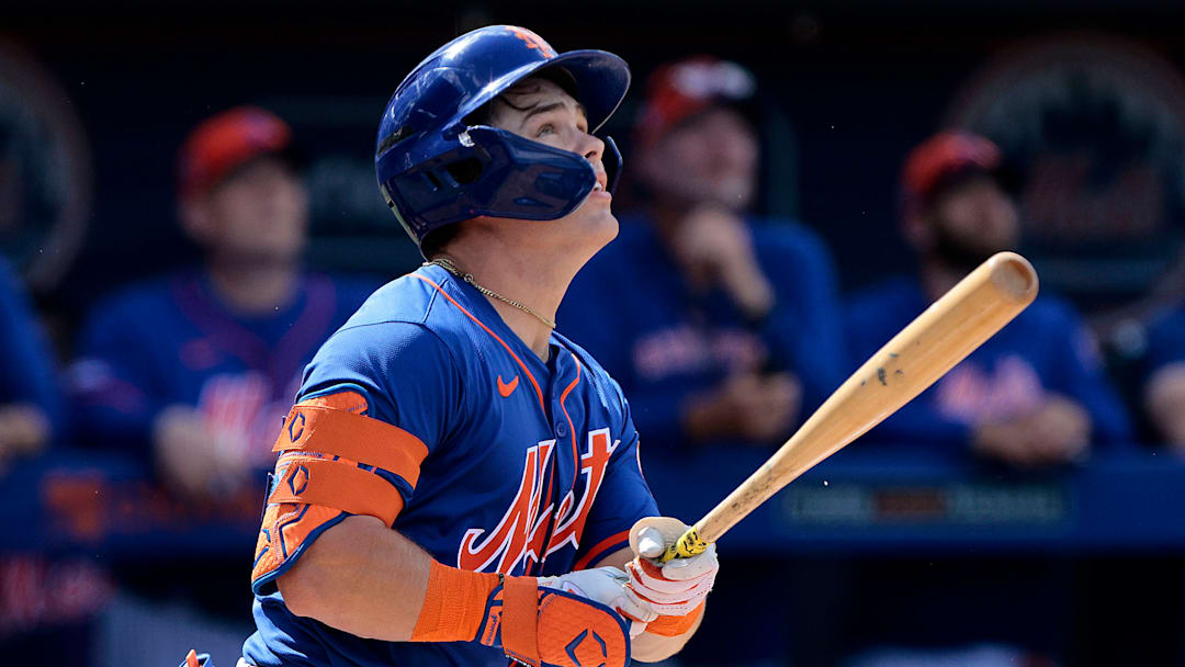 Washington Nationals v New York Mets