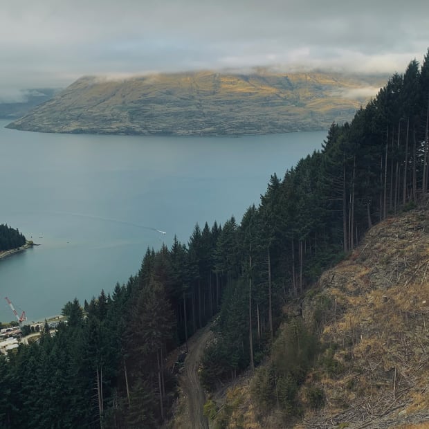 A steep ridge covered with trees and rocks above a lake.