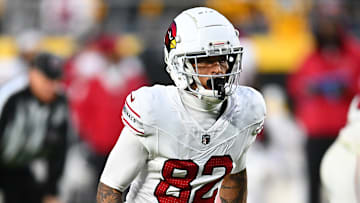 Arizona Cardinals v Pittsburgh Steelers