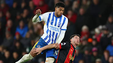 AFC Bournemouth v Brighton & Hove Albion FC - Premier League