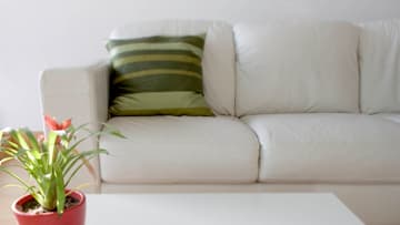 Interior side lit view of living room seating area, including coffee table, white sofa and plant.