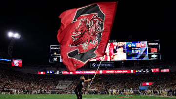 South Carolina football flag