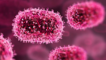 Not all microbes are pathogens (but this one, the mpox virus, is).