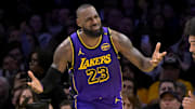 Jan 17, 2025; Los Angeles, California, USA;  Los Angeles Lakers forward LeBron James (23) reacts after a foul call against the Brooklyn Nets at Crypto.com Arena. Mandatory Credit: Jayne Kamin-Oncea-Imagn Images
