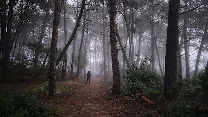 Polly Melton disappeared during a routine hike.
