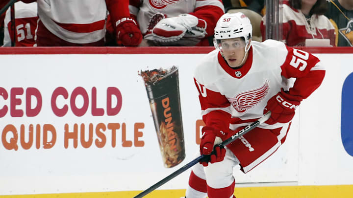 Detroit Red Wings forward Dominik Shine skates with the puck against the Pittsburgh Penguins during the third period at PPG Paints Arena.