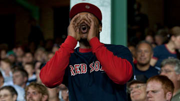 Boston Red Sox fan