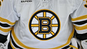 Boston Bruins