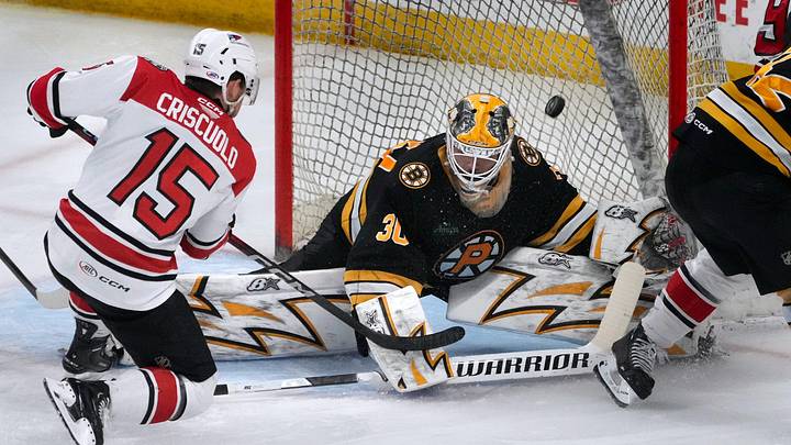 Providence Bruins goalie Michael DiPietro deflects a shot from Charlotte Checkers center Kyle Criscuolo in the second period.