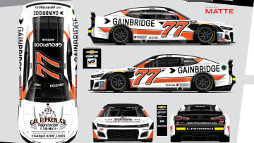Orioles-themed Cal Ripken Sr. NASCAR