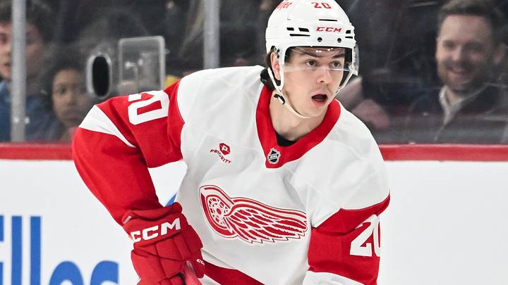 Detroit Red Wings v Montreal Canadiens