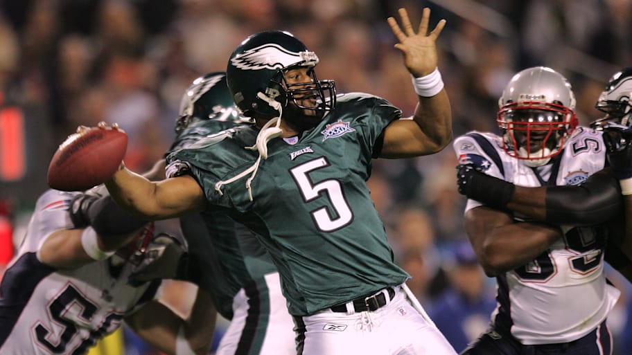 Donovan McNabb and the Eagles narrowly lost to the Patriots, ending an impressive season. 