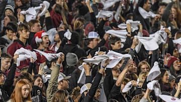 South Carolina football fans during Sandstorm at Williams-Brice Stadium