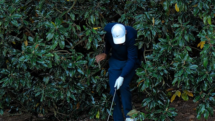 Scheffler ended up in the bushes at the Masters