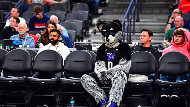 Mar 14, 2020; Las Vegas, Nevada, USA; Washington Huskies mascot Harry the Husky sits in a row of empty chairs on the floor during the second half of an NCAA tournament game between the Huskies and the Arizona Wildcats at Mobile Arena. Mandatory Credit: Stephen R. Sylvanie-Imagn Images