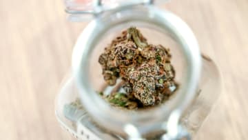 The Super Secret strain of marijuana at Harbor Farmz Provisioning, the first dispensary in Charlotte, on Monday, June 24, 2024.