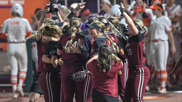 South Carolina Gamecocks softball