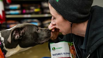 Vanai, a pit bull mix, gets fed treats by Pet Supplies Plus store leader Christen Jeffers in Grosse Pointe, while on her Detroit Dogventure, an indoor outing for shelter dogs to help them get adopted, Tuesday, Jan. 7, 2025.
