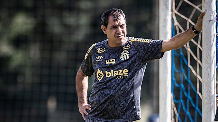 Fábio Carille, técnico do Santos
