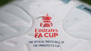 Il logo della FA Cup 