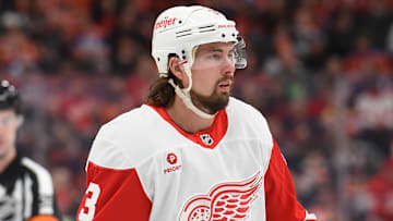 The Detroit Red Wings will need to decide where Justin Holl fits into the team's roster this season.