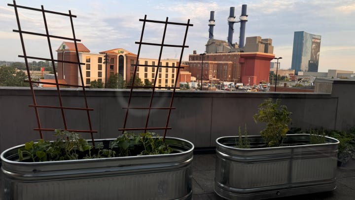 Colts Culinary Garden at Lucas Oil Stadium