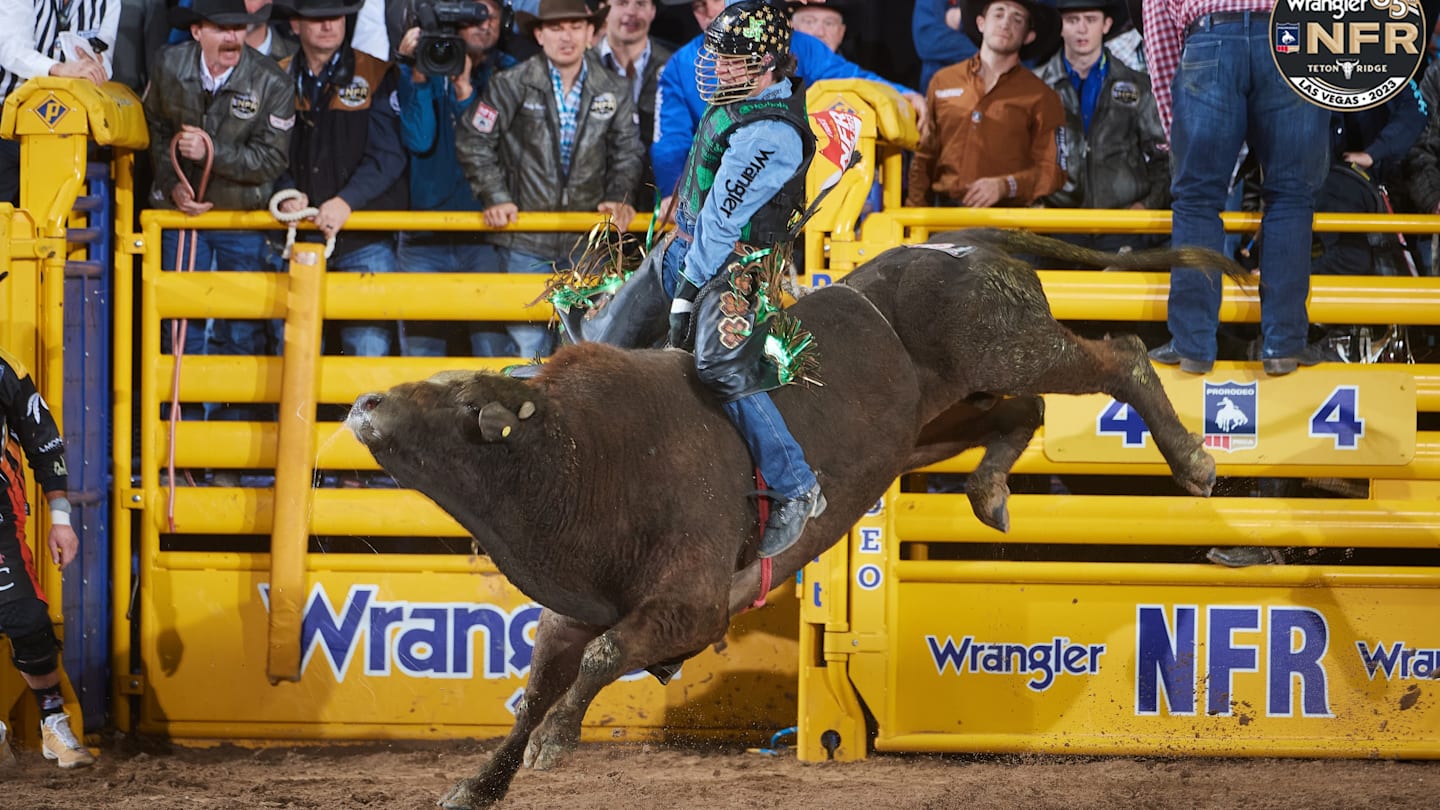 Canadian Bucking Bulls Make the Trek For the Spotlight At the Canadian