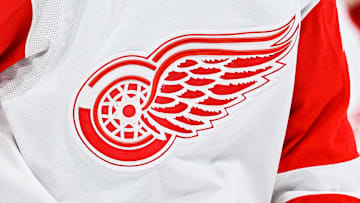Apr 4, 2023; Montreal, Quebec, CAN; View of a Detroit Red Wings logo on a jersey worn by a member of the team against the Montreal Canadiens during the third period at Bell Centre. Mandatory Credit: David Kirouac-Imagn Images