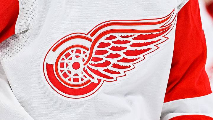 Apr 4, 2023; Montreal, Quebec, CAN; View of a Detroit Red Wings logo on a jersey worn by a member of the team against the Montreal Canadiens during the third period at Bell Centre. Mandatory Credit: David Kirouac-Imagn Images