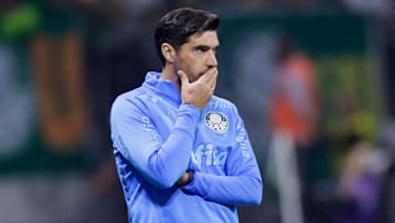 A presidente do Verdão disse que a Abel não foi procurado para comandar o Brasil 