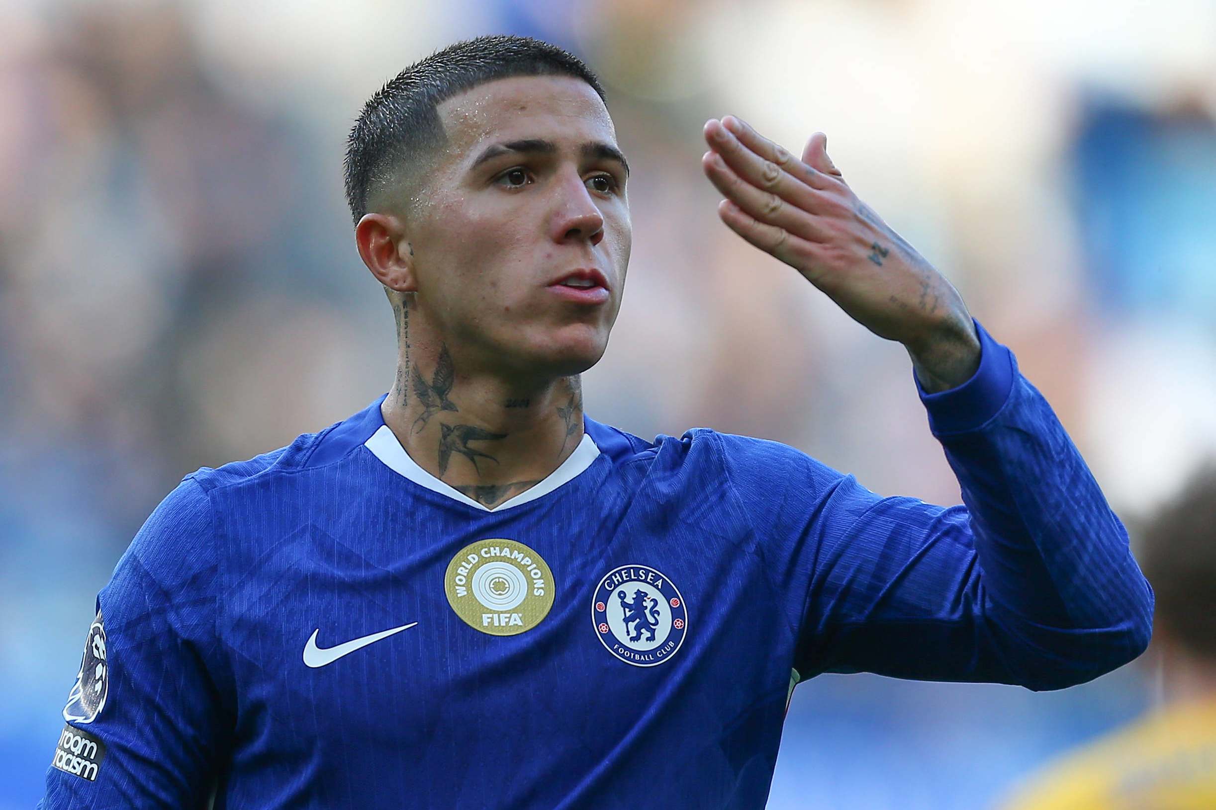 Enzo Fernandez Enzo Fernandez