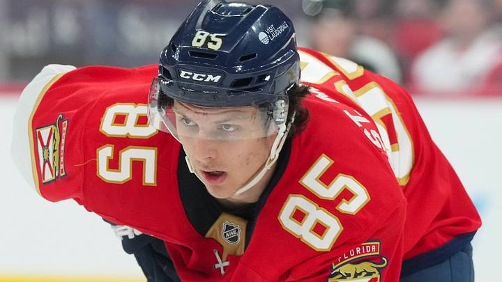 Florida Panthers left wing Hunter St. Martin (85) looks on against the Carolina Hurricanes during the second period at Lenovo Center. Mandatory Credit: James Guillory-Imagn Images
