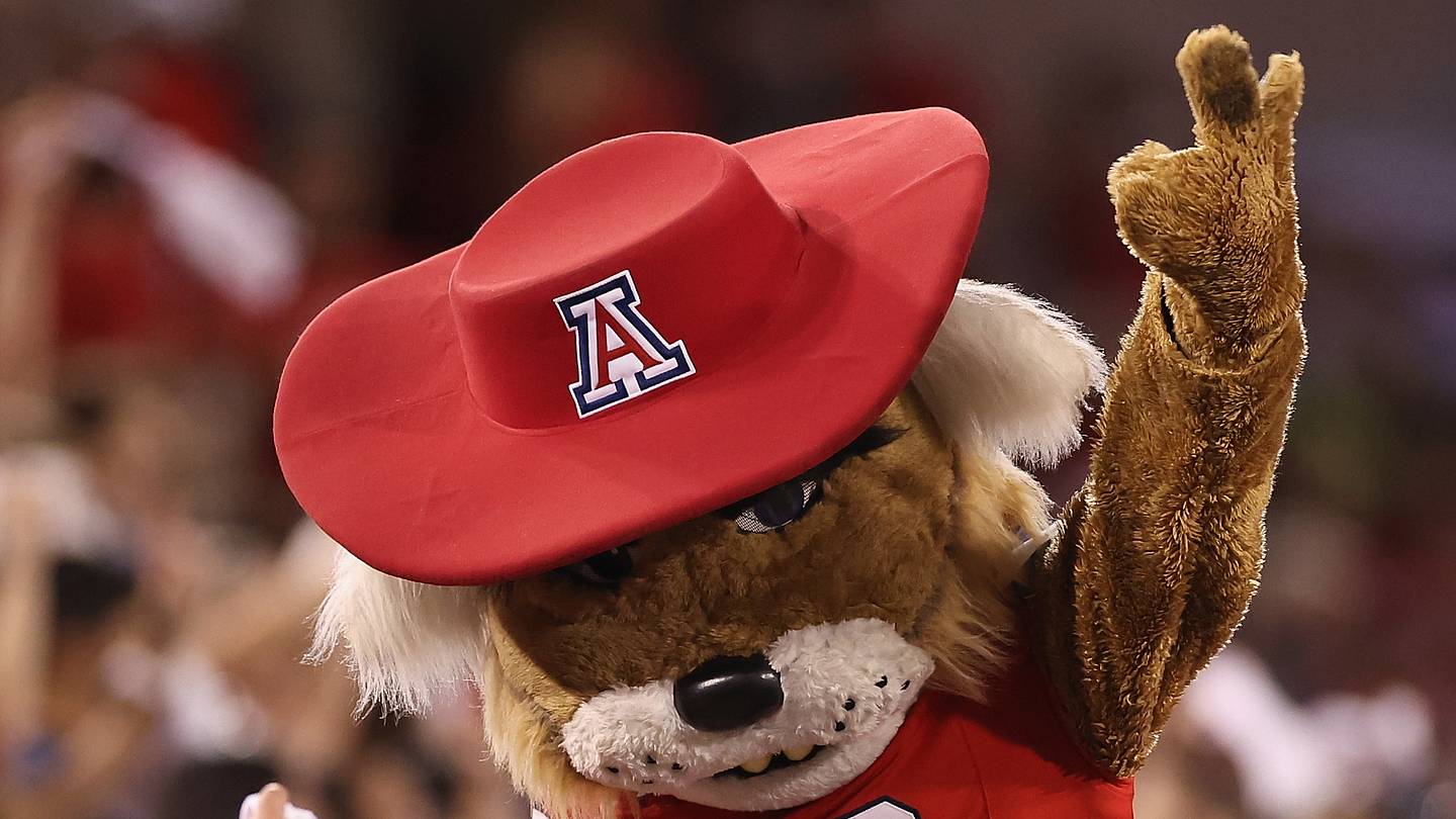 Arizona Softball opens Regional play with a bang - Vimarsana News
