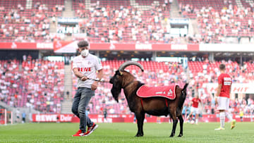 1. FC Köln