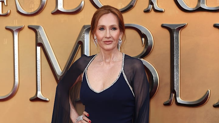 "Fantastic Beasts: The Secrets of Dumbledore" World Premiere - Arrivals