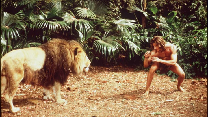 Brendan Fraser faces off against a lion in 'George of the Jungle' (1997).