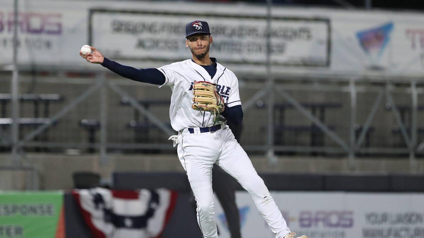 Promising NY Mets prospect continues to hit HRs but his batting average has cratered - Vimarsana News