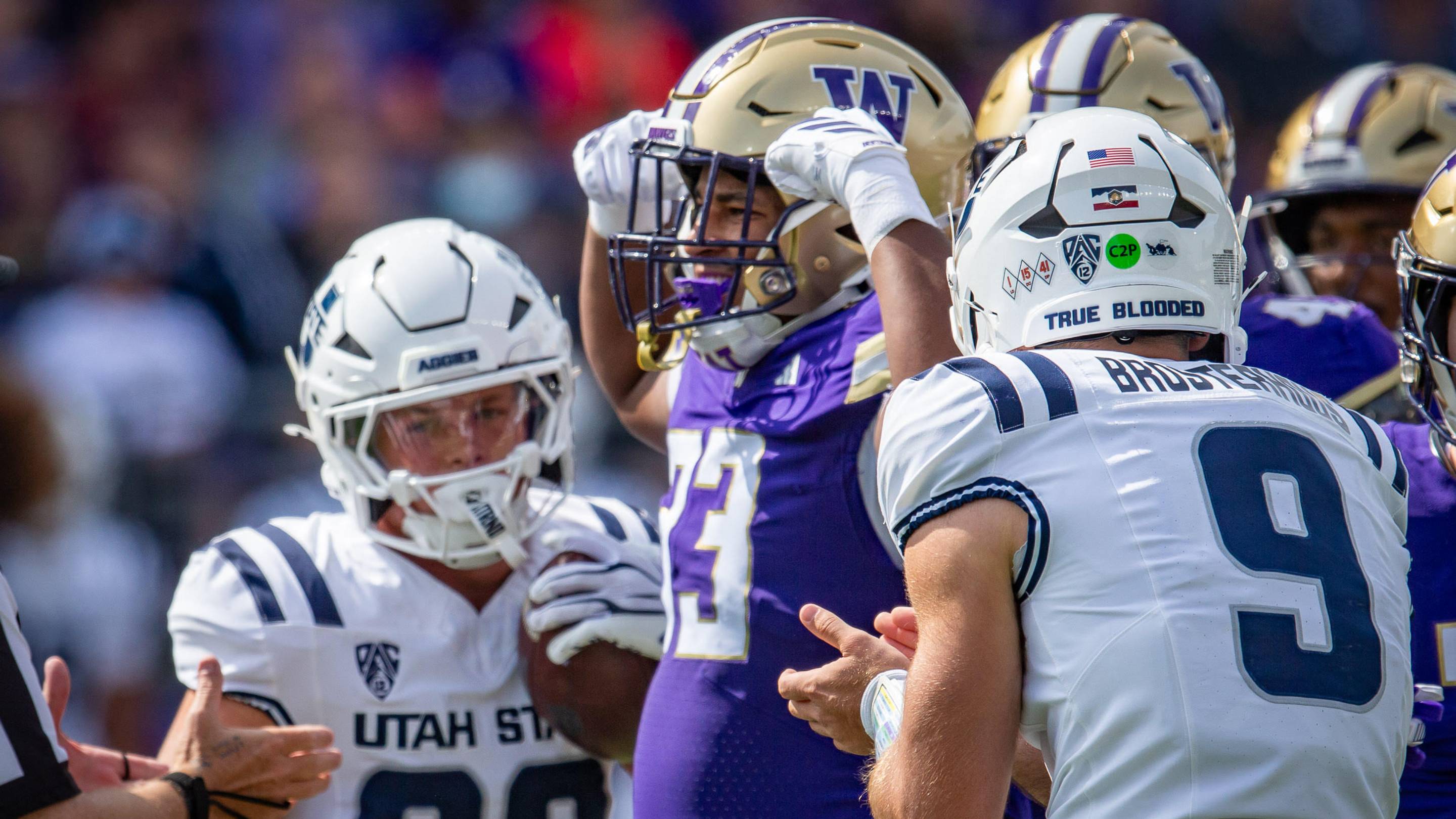 Huskies Slide All The Way Out of AP Top 25