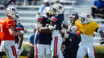 Auburn Tigers wide receiver Cam Coleman (8) celebrates his touchdown catch during the A-Day spring game at Jordan-Hare Stadium in Auburn, Ala., on Saturday, April 6, 2024.