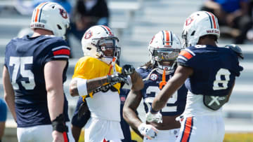 Auburn Tigers wide receiver Cam Coleman (8) celebrates his touchdown catch during the A-Day spring game at Jordan-Hare Stadium in Auburn, Ala., on Saturday, April 6, 2024.
