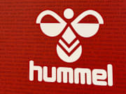 hummel's bumblebee is becoming increasingly prominent once more