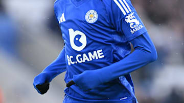 Leicester City FC v Brighton & Hove Albion FC - Premier League
