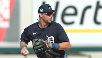Washington Nationals v Detroit Tigers