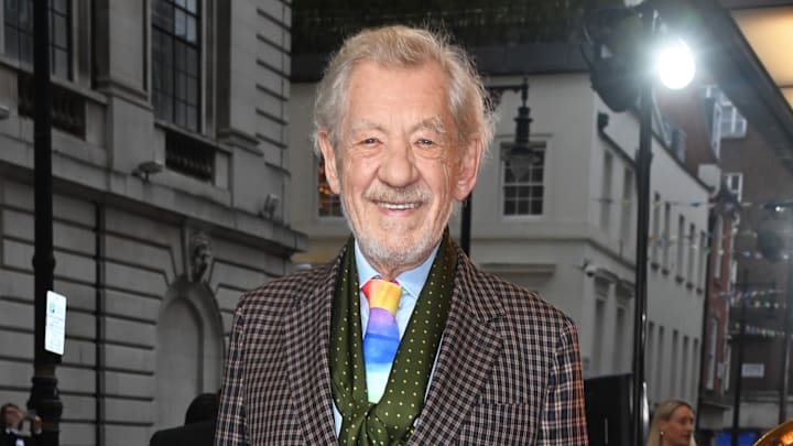 "The Critic" European Premiere - VIP Arrivals