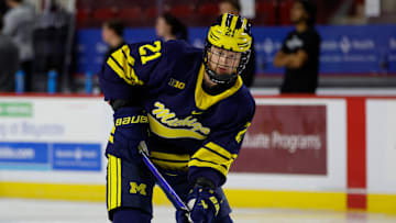 Michigan v Massachusetts-Amherst