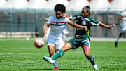 Palmeiras e São Paulo estão entre os semifinalistas do Estadual